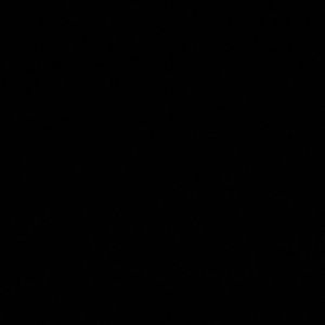 Meet your Posher, Dringo